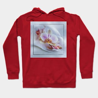 Say It With Flowers [ORCHID] Hoodie